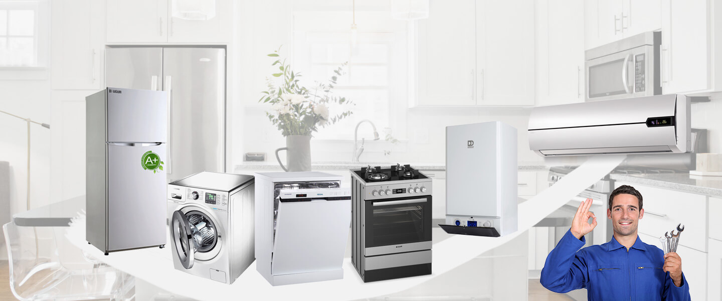 Limontepe Electrolux Servisi